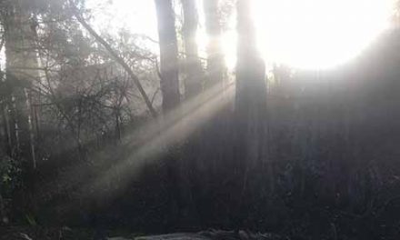 Losing Earth: The Decade We Almost Stopped Climate Change